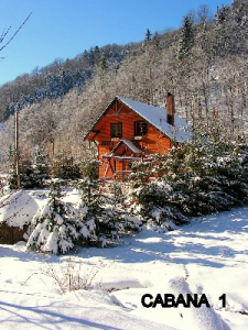 Cazare - Pensiunea Rustic House - Coada Lacului Lesu